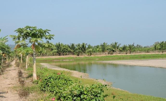 Fishery Farming Initiative